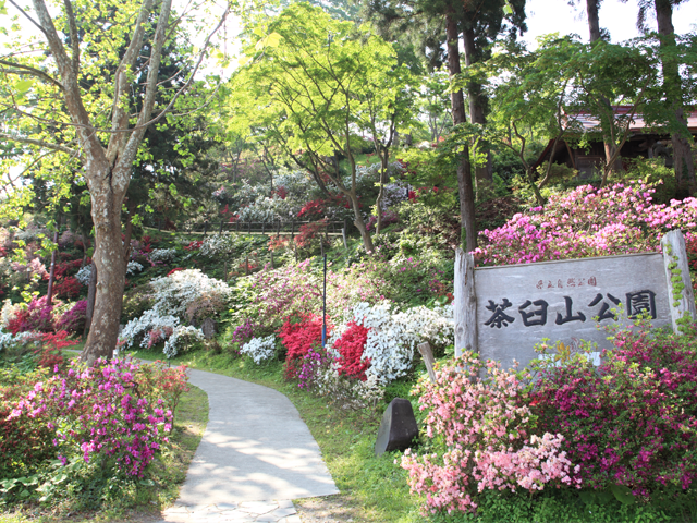 茶臼山公園